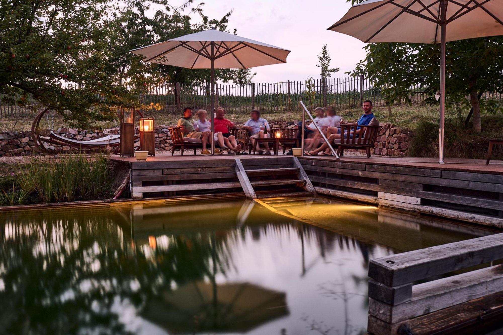 Bioweingut & Landhotel Gaenz Hackenheim Esterno foto