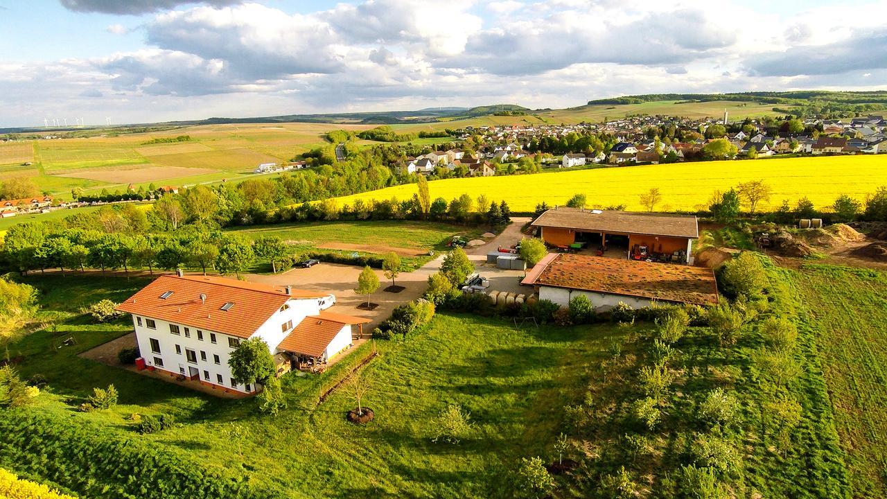 Bioweingut & Landhotel Gaenz Hackenheim Esterno foto
