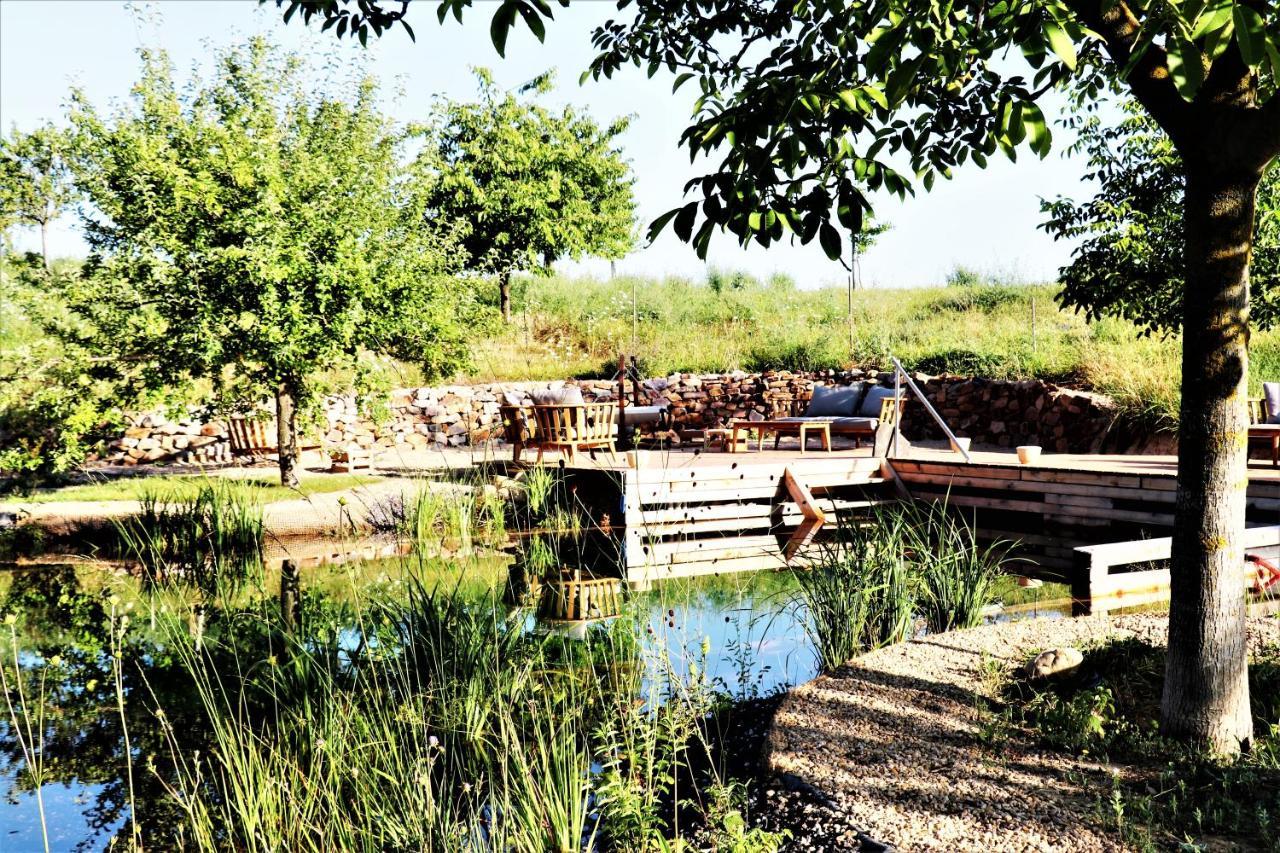 Bioweingut & Landhotel Gaenz Hackenheim Esterno foto
