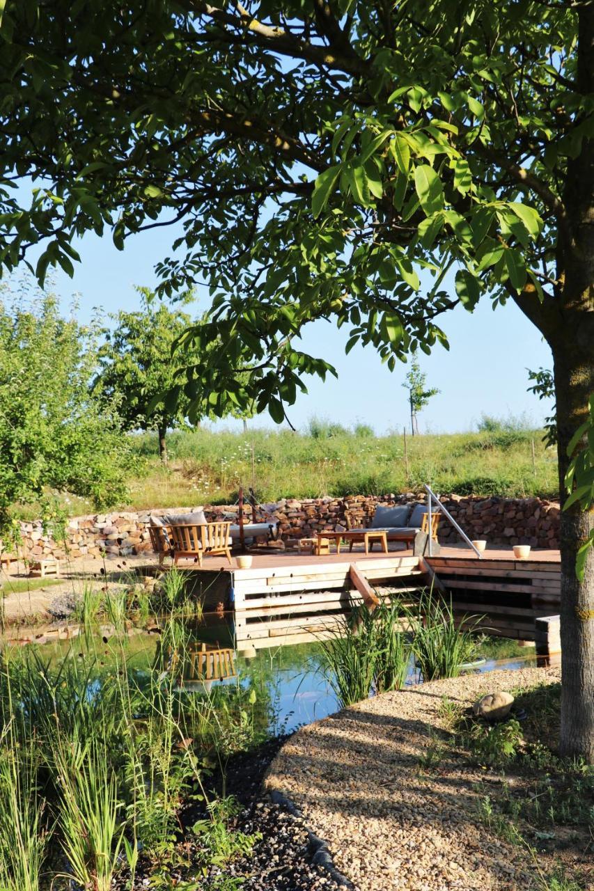Bioweingut & Landhotel Gaenz Hackenheim Esterno foto